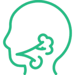 salivary glandsgr